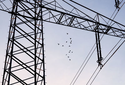 Low angle view of electricity pylon and flock of birds against sky