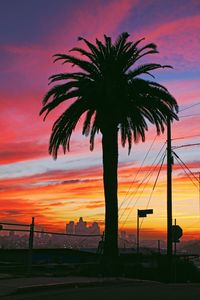 Silhouette palm trees against sky during sunset