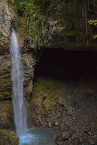 Scenic view of waterfall in forest