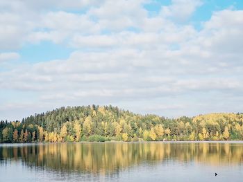 Scenic view of lake by trees against sky