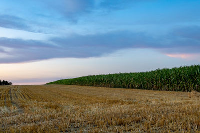 Scenic view of field against sky