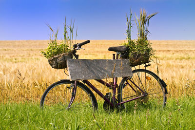 Old fashioned bicycle in the green.