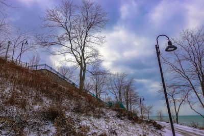 Low angle view of tree against sky