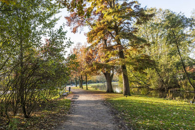 Footpath amidst trees in park during autumn