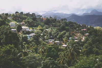 Houses in the valley