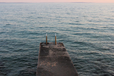 High angle view of fish in sea