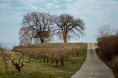 Rural landscape with church