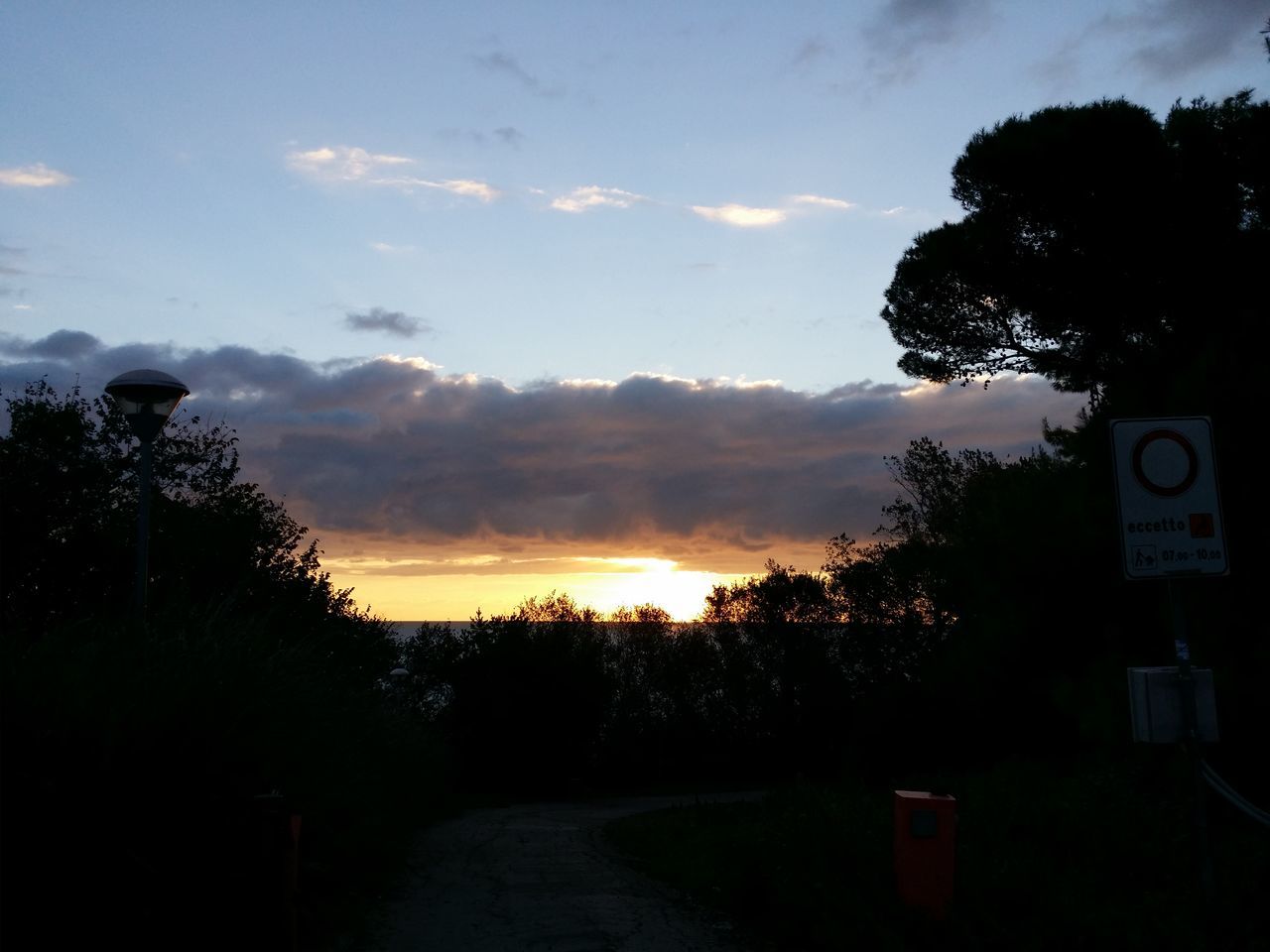 tree, sunset, sky, silhouette, cloud - sky, tranquility, tranquil scene, scenics, beauty in nature, nature, cloud, road, dusk, idyllic, landscape, outdoors, cloudy, no people, non-urban scene, orange color