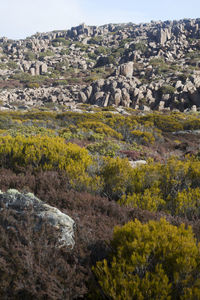 Scenic view of landscape against sky