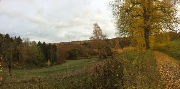 Trees on field against sky during autumn