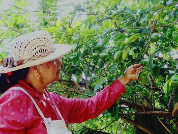 Man working in farm