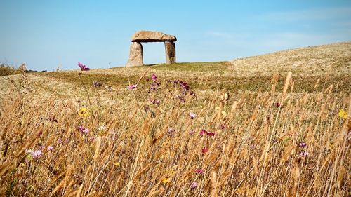 Stone wall on field against sky