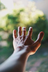 Cropped hand of man against tree