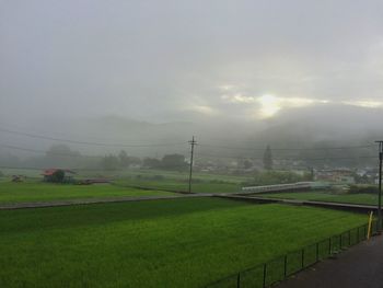 Scenic view of grassy field against sky