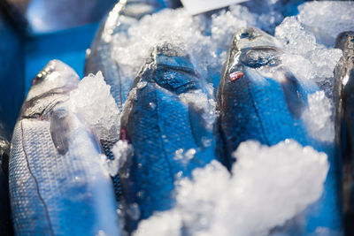 Box full of freshly caught mackerel fish. early winter morning on marsaxlokk market, malta.