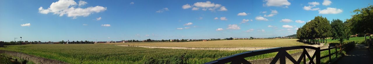 Panoramic view of trees against blue sky