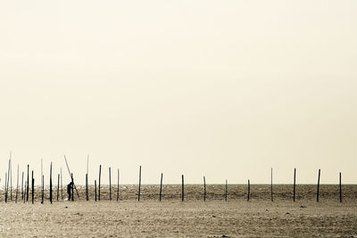 Man on beach against clear sky