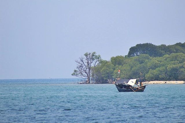 water, nautical vessel, clear sky, transportation, sea, boat, waterfront, mode of transport, tranquil scene, tree, copy space, tranquility, scenics, nature, beauty in nature, horizon over water, rippled, blue, day, outdoors