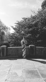 Girl standing by plants against sky