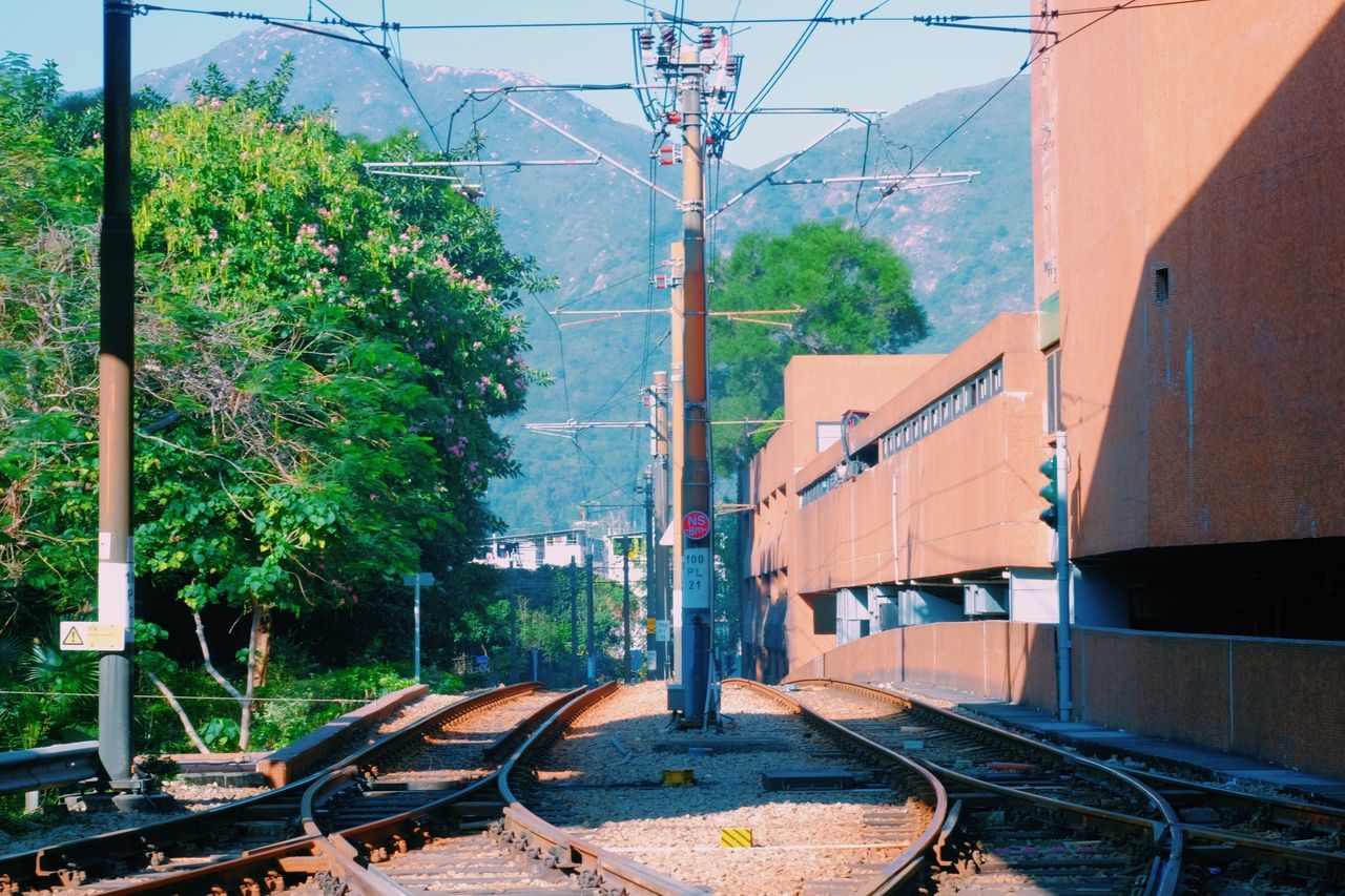 tree, transportation, railroad track, no people, day, outdoors, architecture