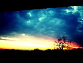 Silhouette of trees at sunset