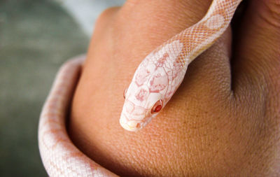 Close-up of woman hand with tattoo