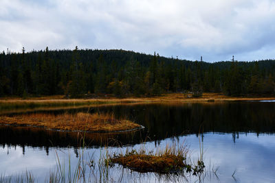 Reflection of trees in lake against sky