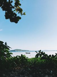 Scenic view of sea against clear sky