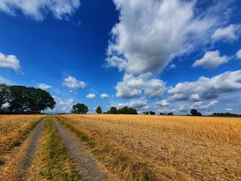 Scenic view of agricultural field against sky