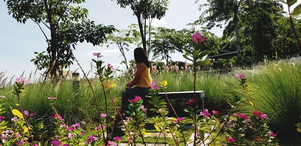 Scenic view of flowering plants on field