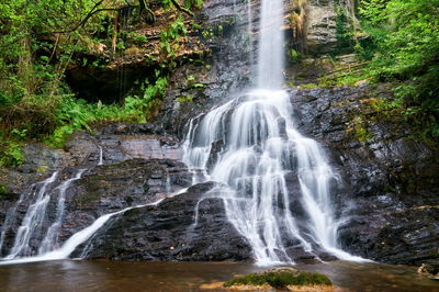 Scenic view of waterfall in forest