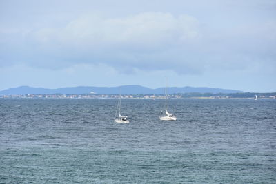 Sailboat sailing on sea against sky