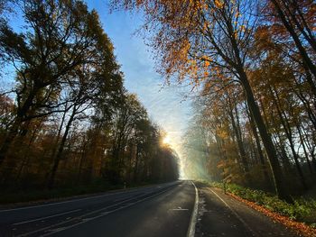 Empty road along trees
