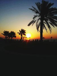 Silhouette of palm trees at sunset