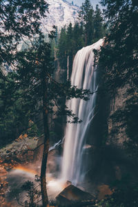 Scenic view of waterfall against trees