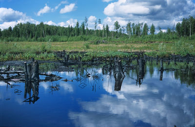 Reflection of trees in lake against sky