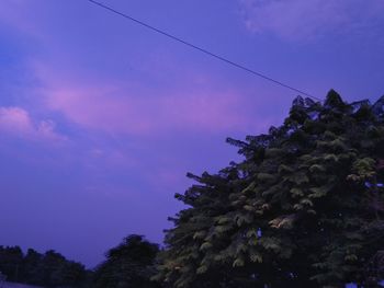 Low angle view of silhouette trees against blue sky