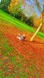 Person on field during autumn