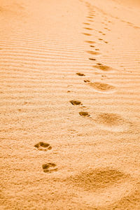 High angle view of footprints on sand at beach