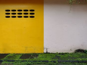 Close-up of yellow wall with closed door