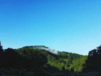 Scenic view of forest against clear blue sky