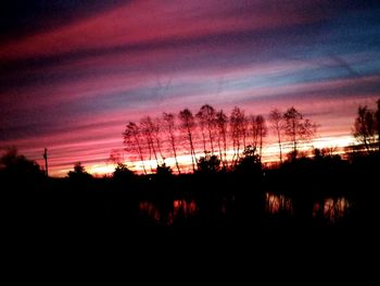 Silhouette of trees at sunset