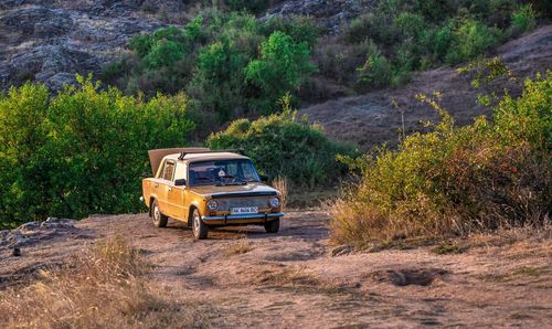 Car on road amidst trees in forest