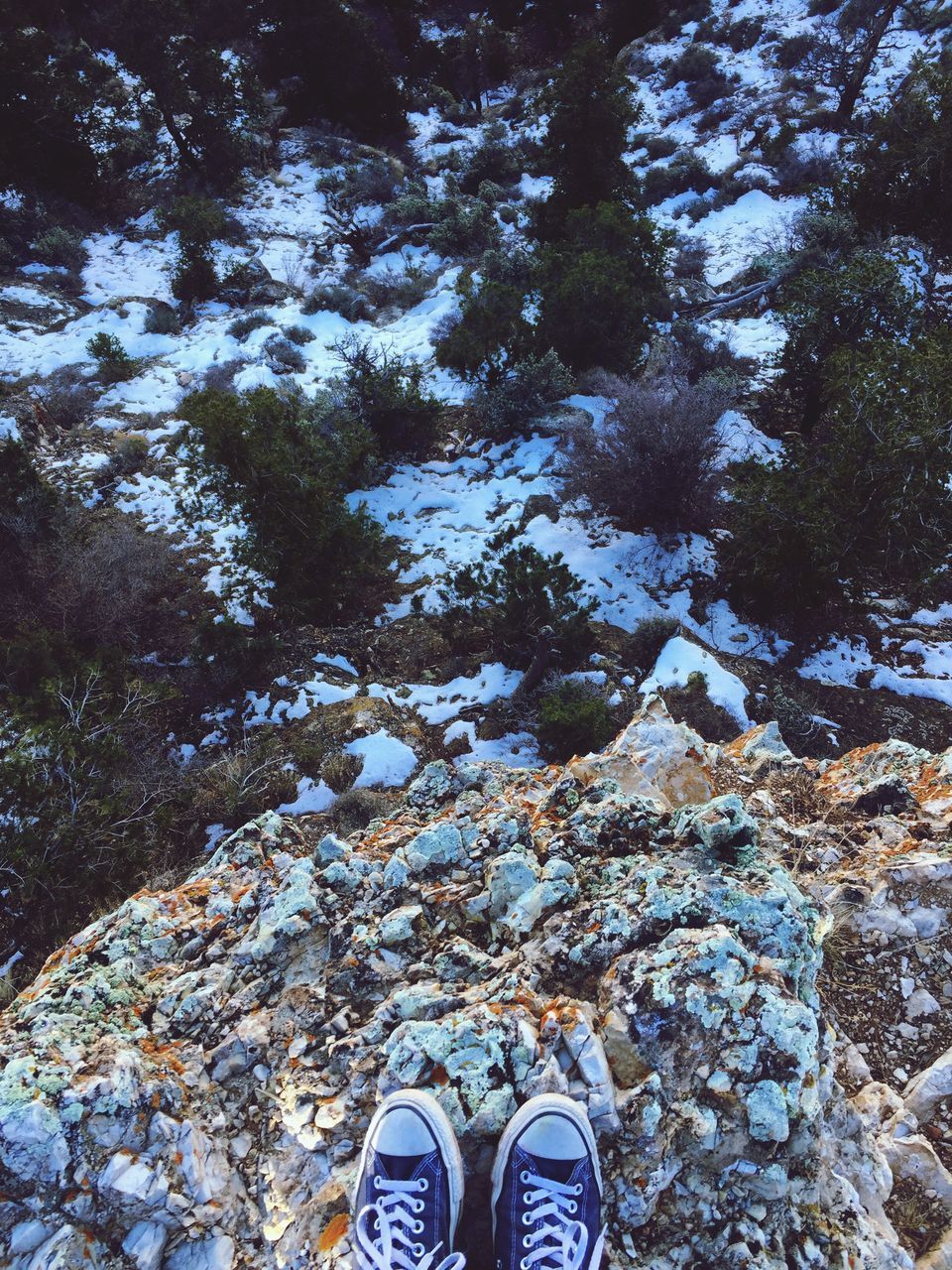 LOW SECTION OF PERSON STANDING ON ROCK WITH TREE