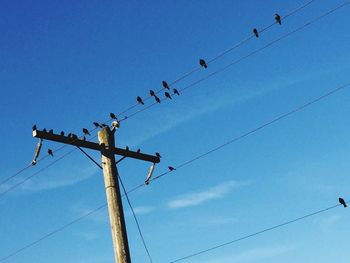 Low angle view of telephone pole against clear sky
