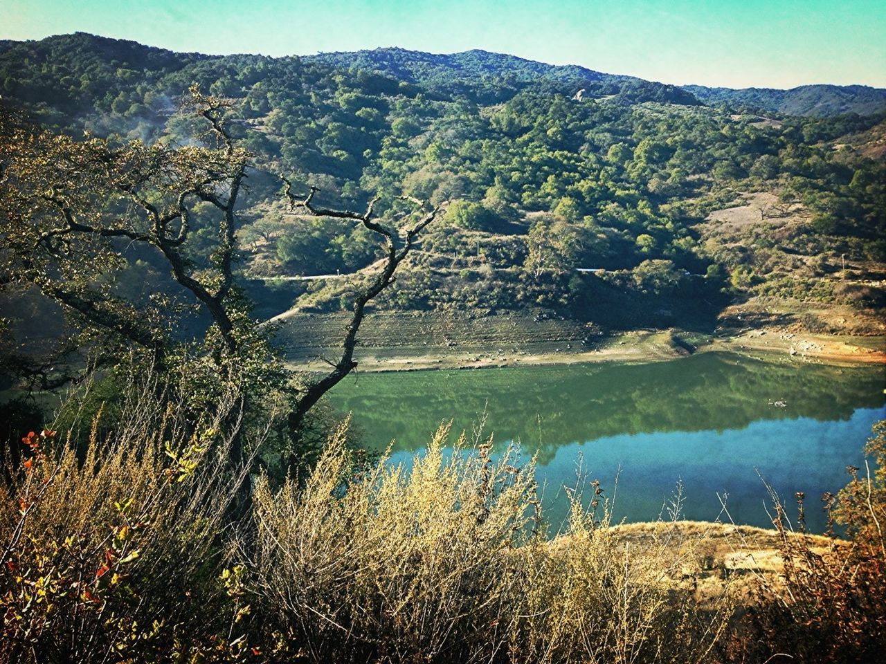 water, tranquil scene, mountain, tranquility, scenics, beauty in nature, lake, nature, plant, growth, non-urban scene, reflection, idyllic, tree, landscape, sky, grass, mountain range, day, outdoors