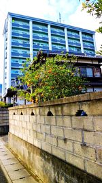 Low angle view of plants against building