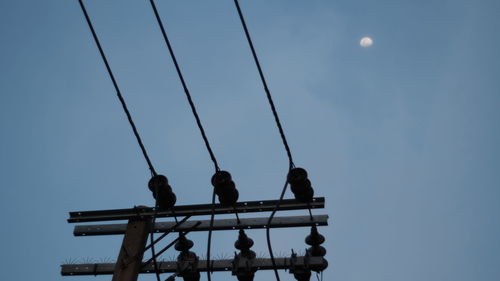 Low angle view of birds perching on cable moon