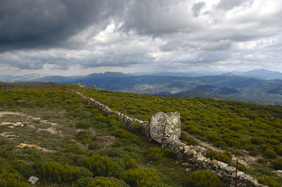 Scenic view of landscape against cloudy sky