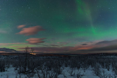 Scenic view of snow field against sky at night with aurora borealis 